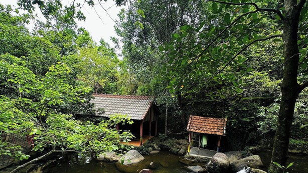 Vista de un jardín japonés tradicional con un pequeño estanque, rocas y una estructura de madera.