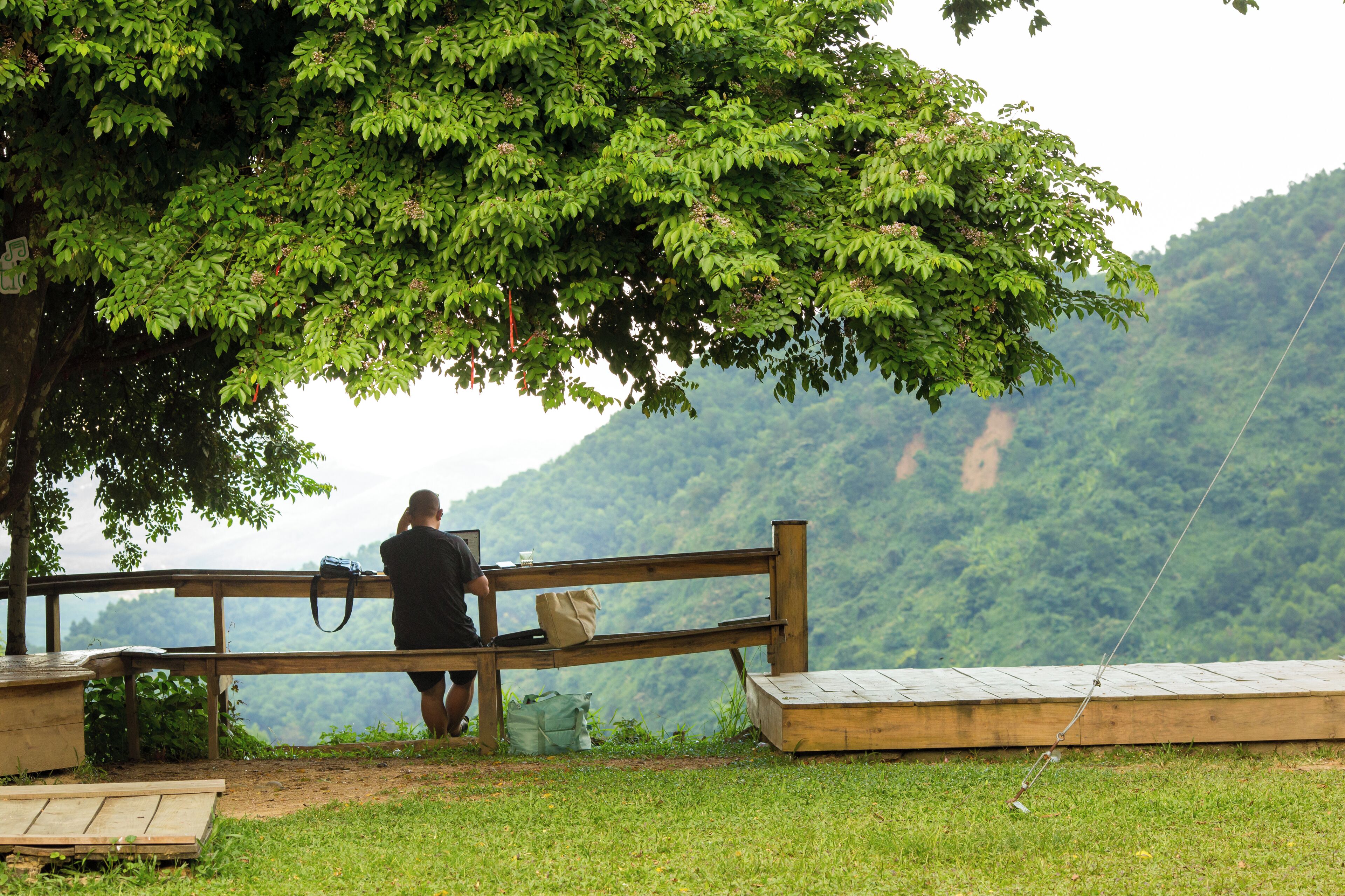A wooden bench under a tree with a view of a mountainous landscape.