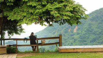 A wooden bench under a tree with a view of a mountainous landscape.