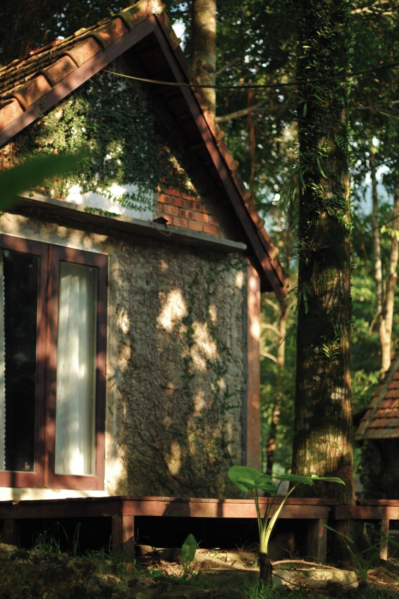 Family Double or Twin Room, 1 Bedroom, Mountain View, Mountainside | View from room