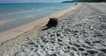 Apappartement à 100 m du Bord DE MER Avec Jardin Privé