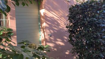 DĂ©tail de lâextĂ©rieur