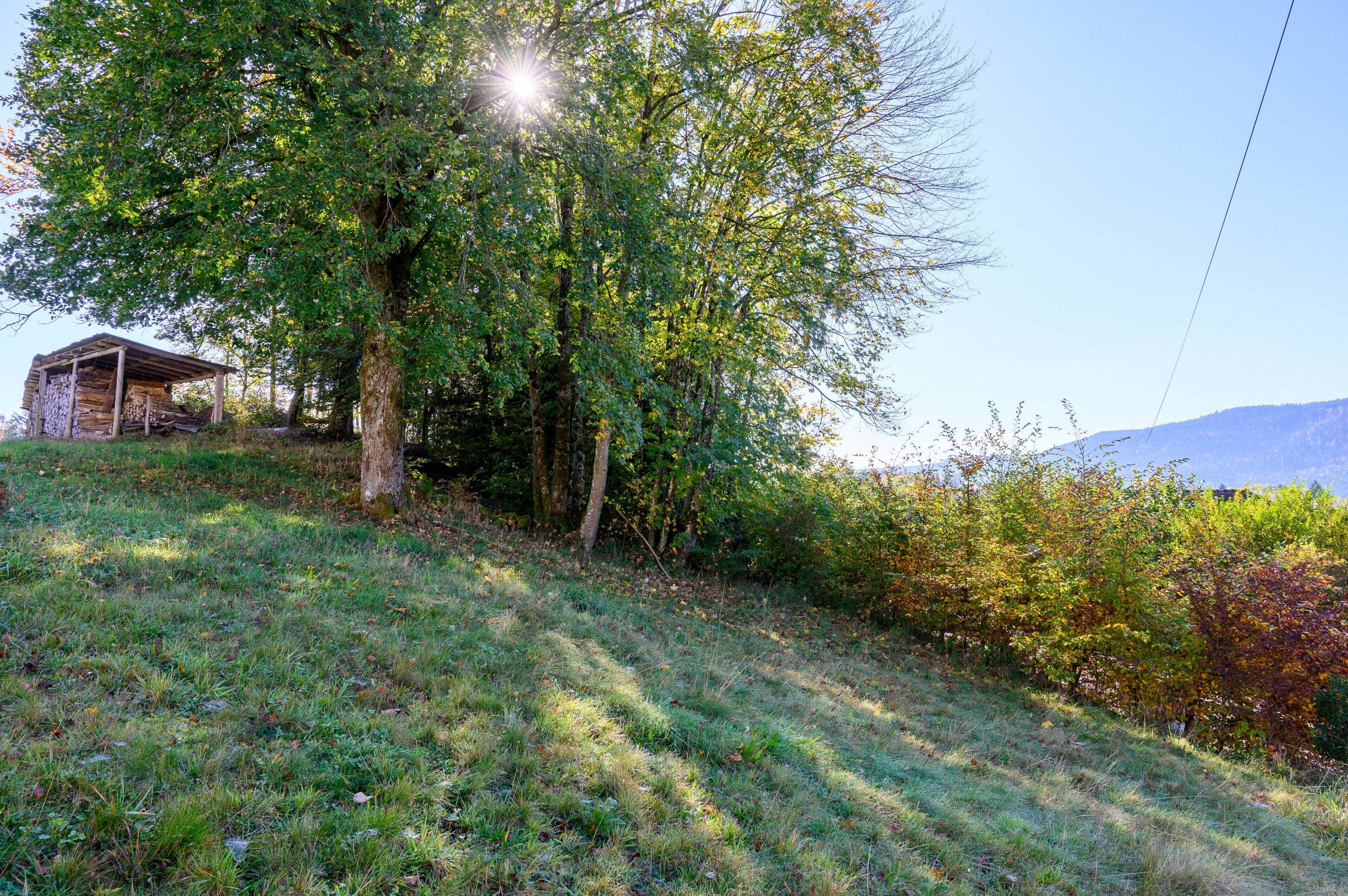 Une cabane en bois rustique, dotée d’un toit en pente, entourée d’arbres verdoyants et d’une colline couverte d’herbe.