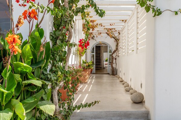 Un couloir orné de plantes en pot, un mur blanc et une porte au fond.