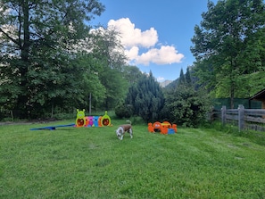 A grassy outdoor area with a dog, play structures, and a wooden fence.