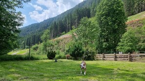 Property grounds - Beautiful 'Adamello 7' Apartment with Wi-Fi (Pinzolo)