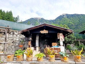 Property grounds - Beautiful 'Adamello 7' Apartment with Wi-Fi (Pinzolo)