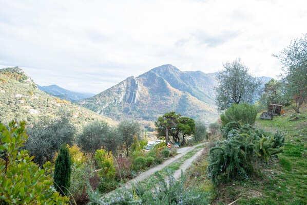 A mountainous landscape with a path leading to a building.