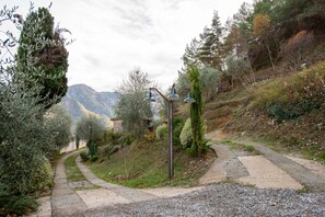 Property grounds - Eco chalet ,  grande terrasse ,vue imprenable. (Sospel)