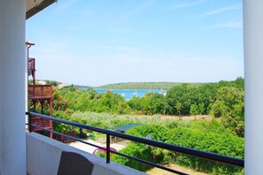 Property grounds - Spacious holiday apartment in village Banjole, pets friendly (Banjole)