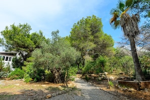 Jardines del alojamiento