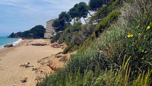 Una playa con gente, un edificio y vegetación.