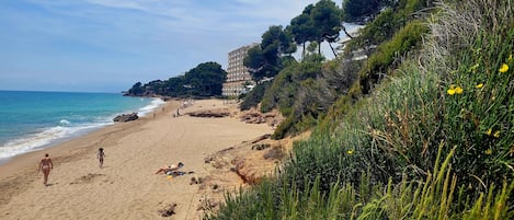 Plage à proximité