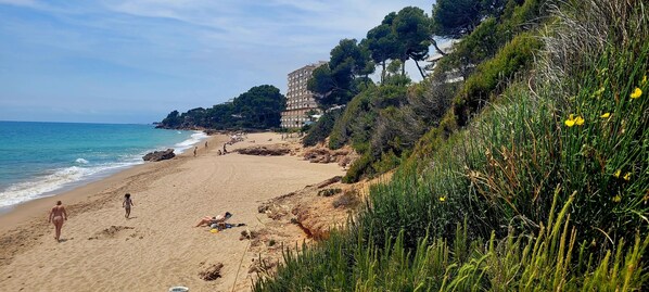 Plage à proximité