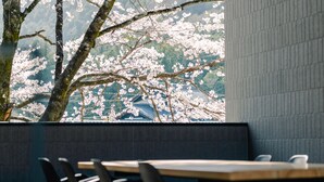 星評価なしの画像、2 / 30、ボタン