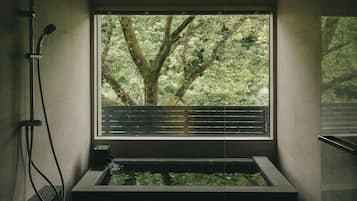 Separate bathtub and shower, free toiletries, hair dryer