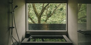 Separate tub and shower, free toiletries, hair dryer, electronic bidet - TEF TANIGUMI (Ibigawa)