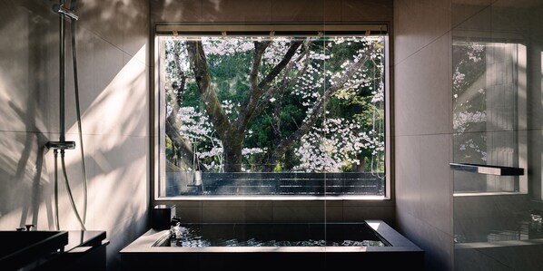 Separate tub and shower, free toiletries, hair dryer, electronic bidet - TEF TANIGUMI (Ibigawa)