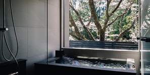 Hot springs - TEF TANIGUMI (Ibigawa)