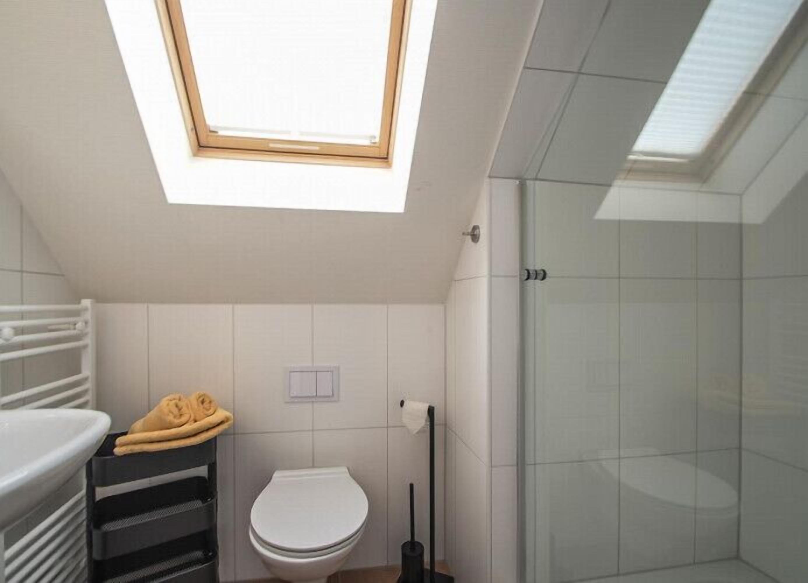 A small bathroom with a skylight, a toilet, a shower, and a towel rack.