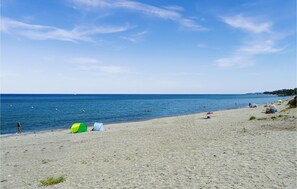 Vlak bij het strand, vissen