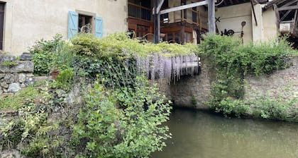 Beautiful old watermill with natural swimming pool. Only 50 minutes to Toulouse