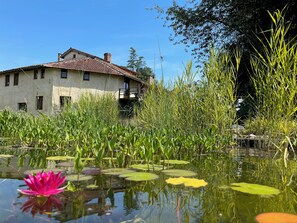 Terrein van de accommodatie