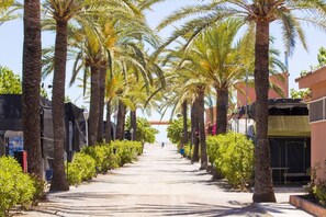 A pathway lined with palm trees leading to a distant view, flanked by buildings with balconies and outdoor seating.