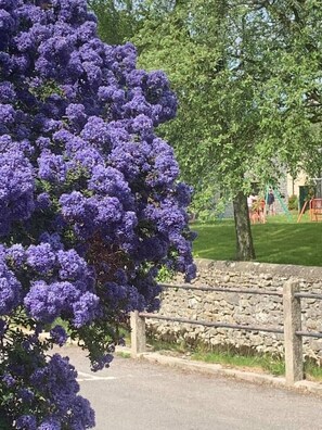 Property grounds - Bradwell Derbyshire Peak District Cottage ❤️ Dogs (Smalldale)