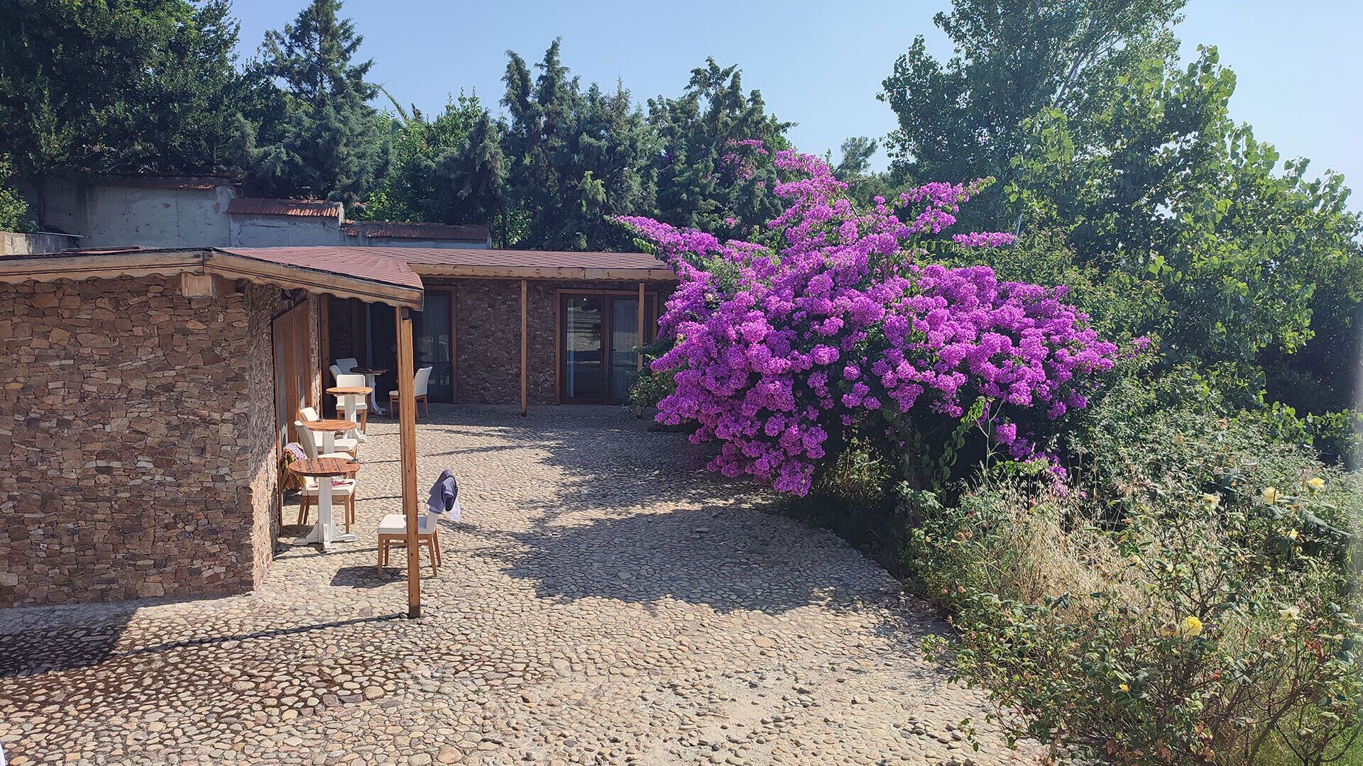 A rustic stone building with a covered outdoor seating area and a large bush of purple flowers.