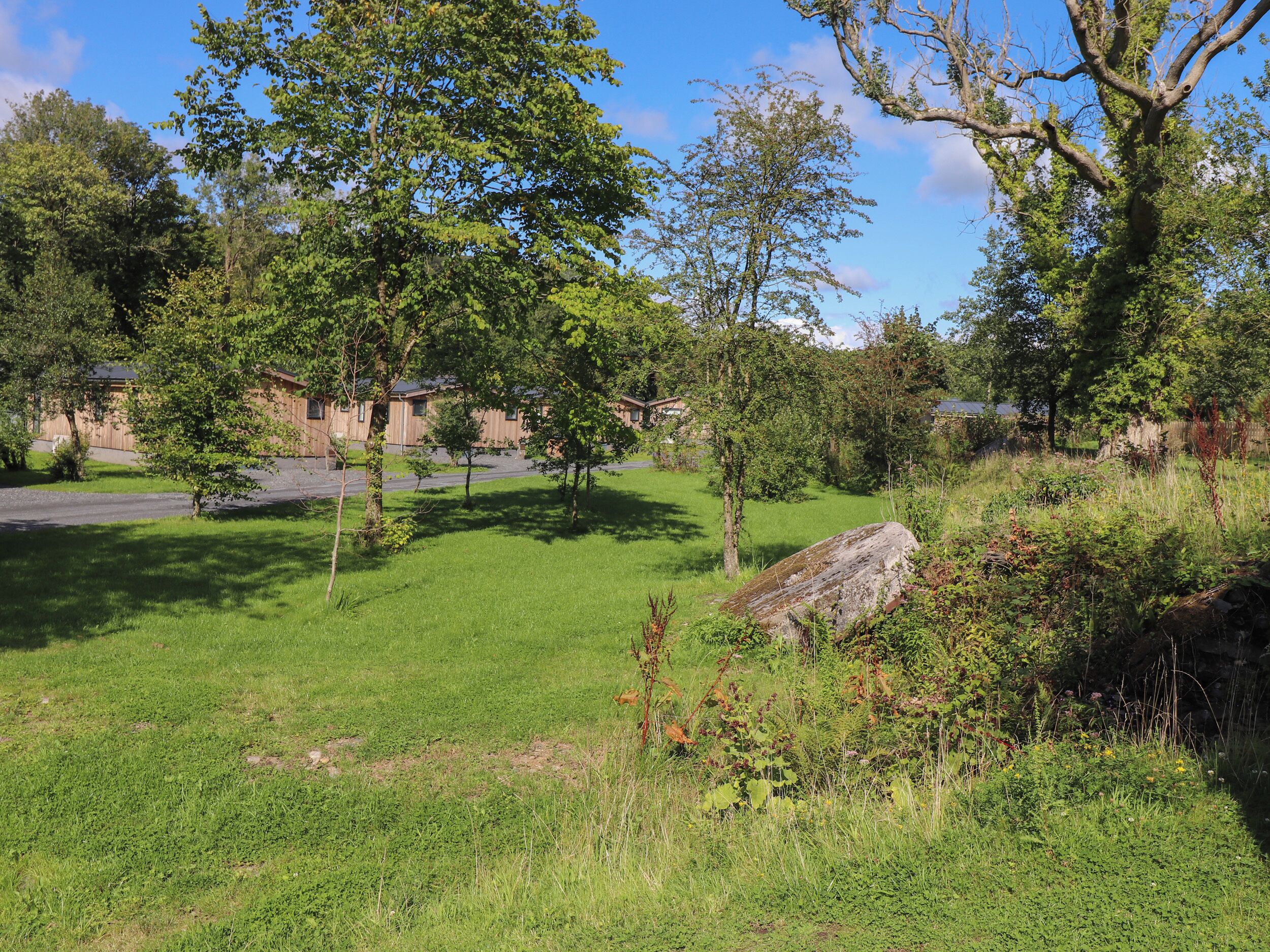 A grassy area with trees and a large rock.