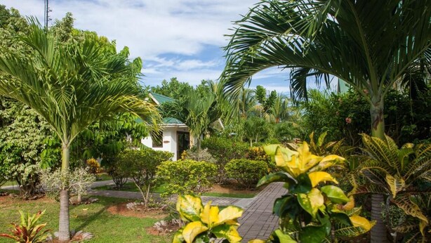 Un exuberante jardín con palmeras, un sendero y un pequeño edificio con techo verde.