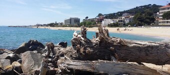 Stunning Apartment at Beach