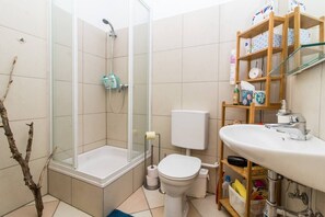 Shower, hair dryer