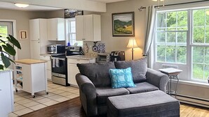 A living room with a grey sofa, a blue rug, and a kitchen in the background.