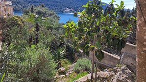 A lush garden with a variety of plants and a view of a lake and mountains in the background.