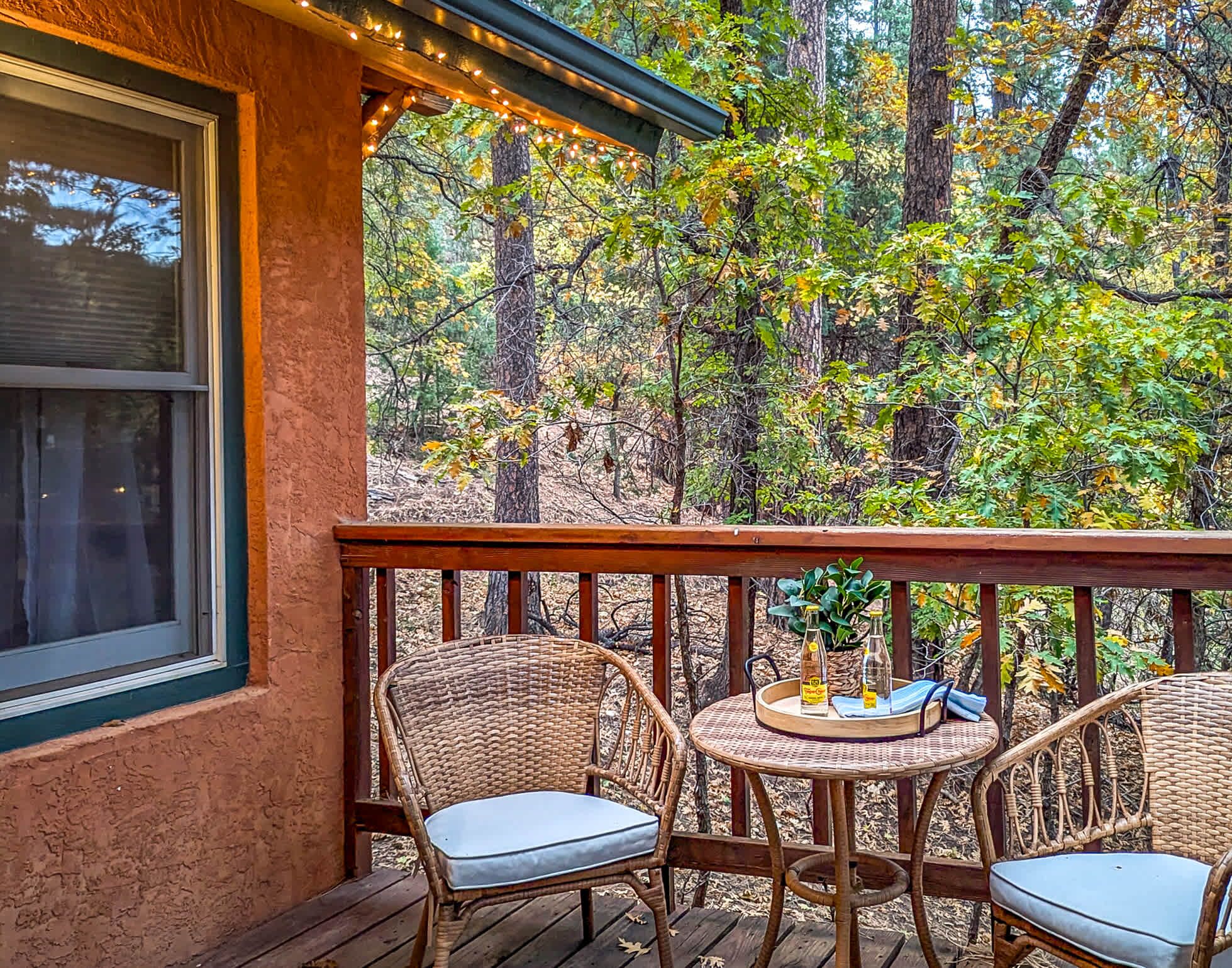 Terrain de l’hébergement 