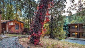 A rustic cabin labeled "COTTAGE" with a wooden deck and outdoor seating.