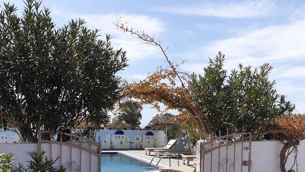 A pool area with a stone pathway leading to a pool, surrounded by trees and a white wall with a gate. - Sagma Central (Santorini)