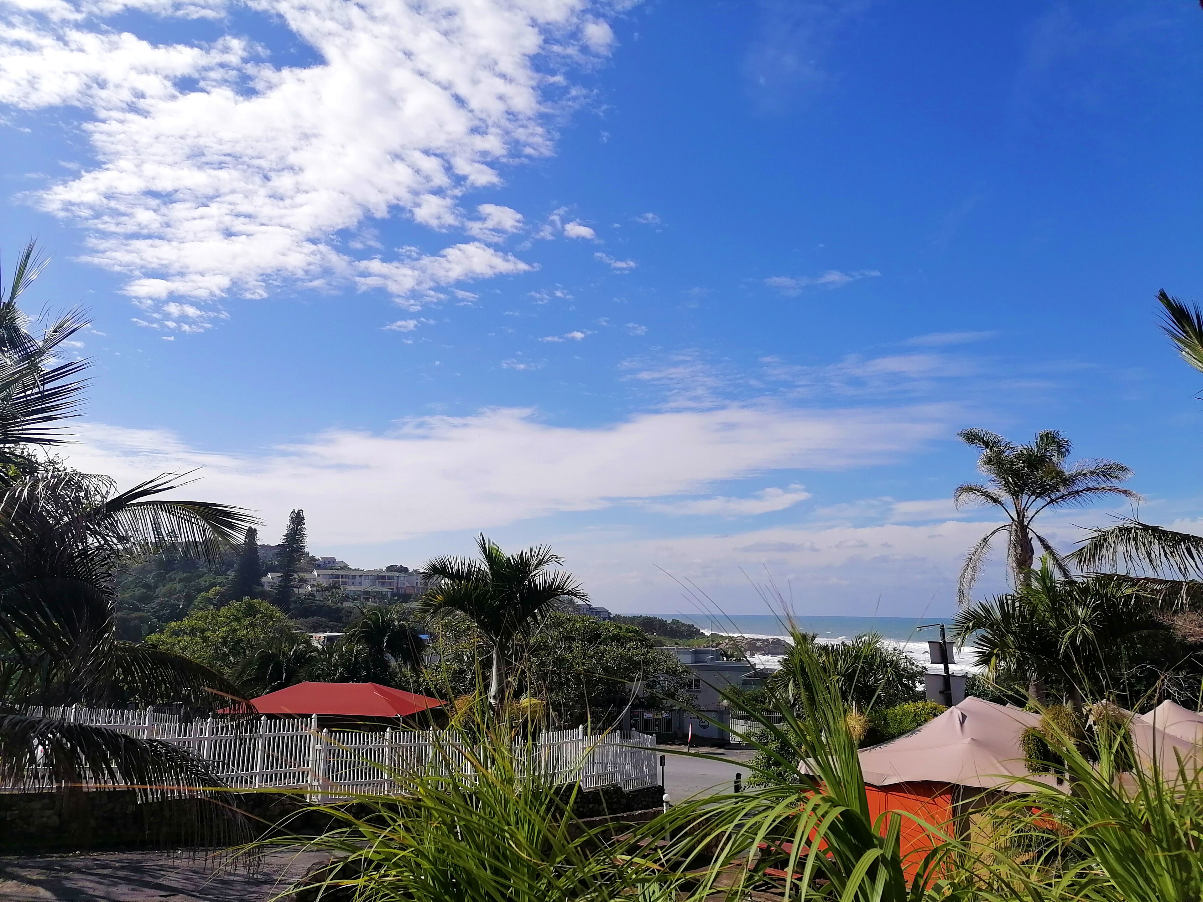 A coastal view with a white fence, palm trees, and a red-roofed structure.