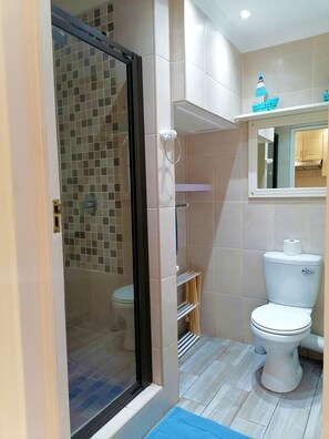 A bathroom with a glass shower enclosure, a toilet, and a sink.