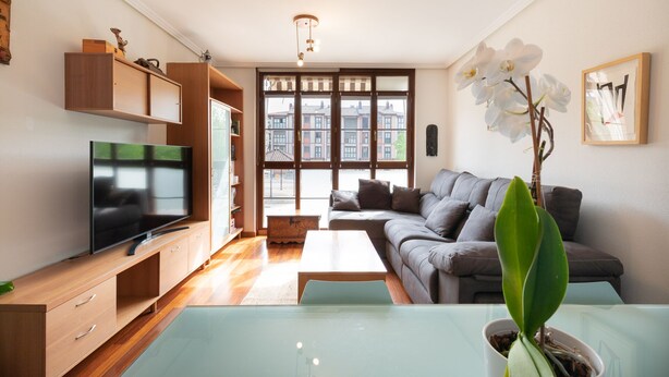 A modern living room with a flat-screen TV, wooden cabinets, a grey sofa, a coffee table, and a potted orchid. - Eihera - baskeyrentals (Irun)