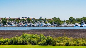 A marina with numerous boats docked, a clear sky, and a grassy foreground. - Leah’s Sunset Dreams Studio (Miramar Beach)