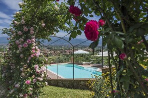 Alberca
