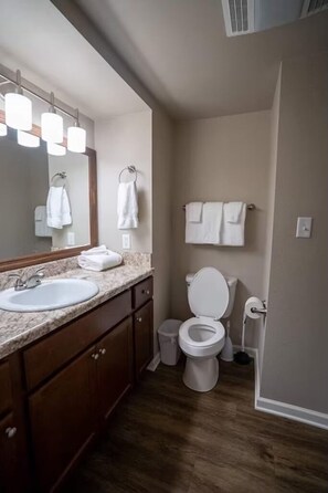 Features a large wall-mounted mirror, double sink, and granite countertop.