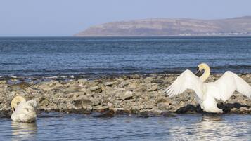 Cottage | Property grounds