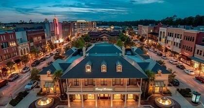 Music inspired Modern stay in The Woodlands.