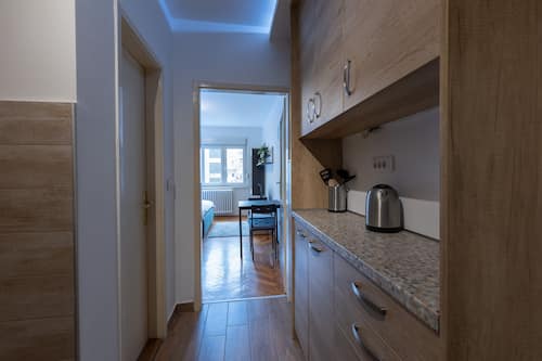 Business Apartment | Private kitchen | Fridge, oven, dishwasher, electric kettle