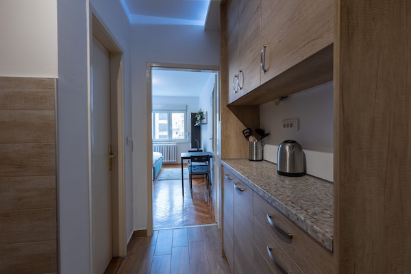 Appartement Affaires | Cuisine privée | Réfrigérateur, four, lave-vaisselle, bouilloire électrique