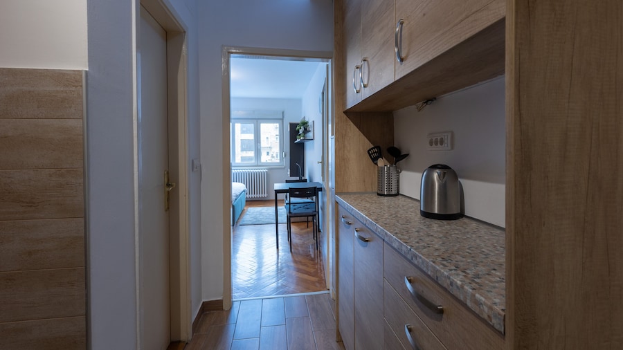 Belgrade Center Apartment